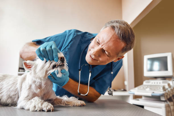 Best Emergency Wisdom Teeth Removal in Grifton, NC